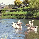 Santa Rosa Konukevi