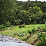 Santa Rosa *