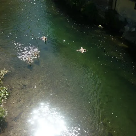 Santa Rosa Pensión