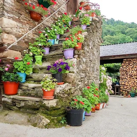 Guest house Santa Rosa