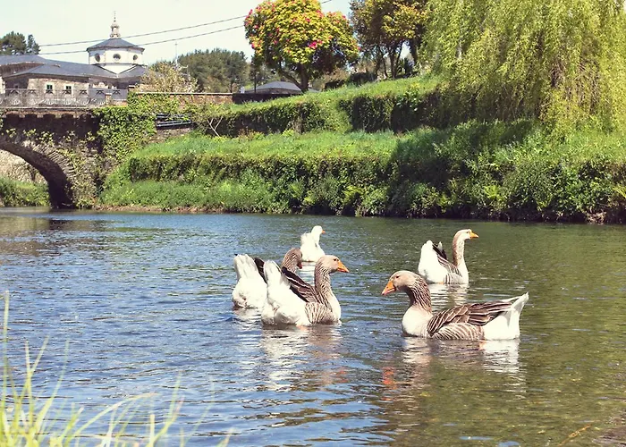 Santa Rosa Pensjonat